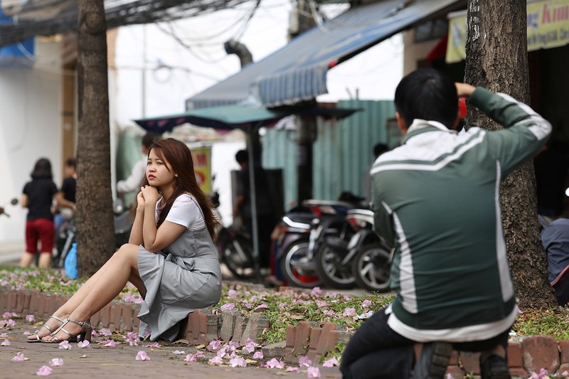 Ngắm[-]hoa[-]kèn[-]hồng[-]nở[-]rộ[-]giữa[-]Sài[-]Gòn
